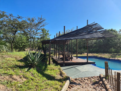 Wild Olive Tree Camp Manyeleti Reserve Mpumalanga South Africa Complementary Colors, Swimming Pool