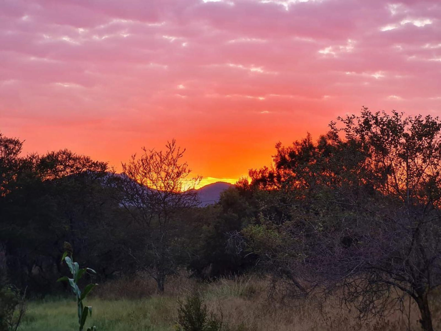 Wildthingz Bush Lodge, Sky, Nature, Sunset