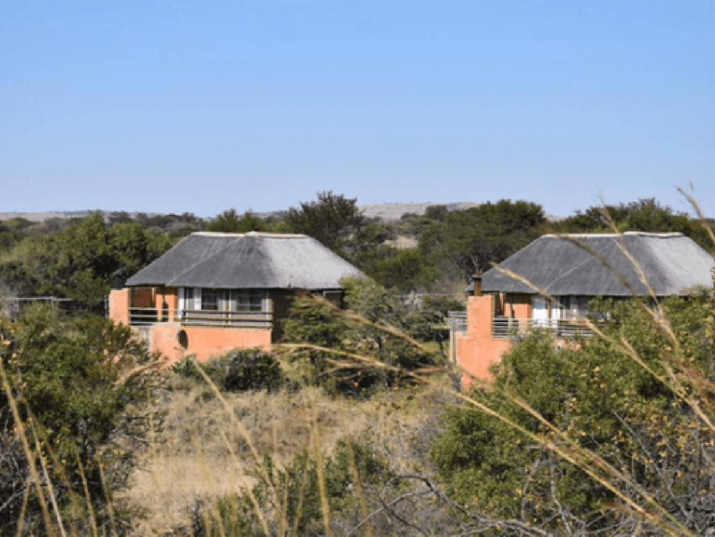 Wildthingz Bush Lodge, Building, Architecture