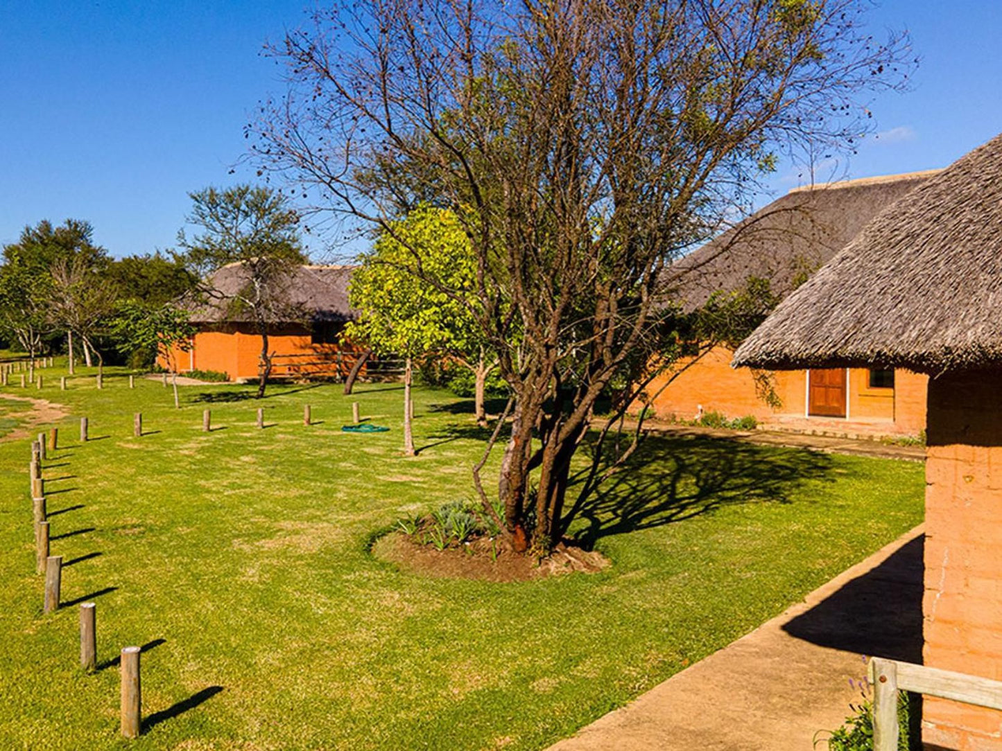 Wildthingz Bush Lodge, Colorful, House, Building, Architecture, Plant, Nature