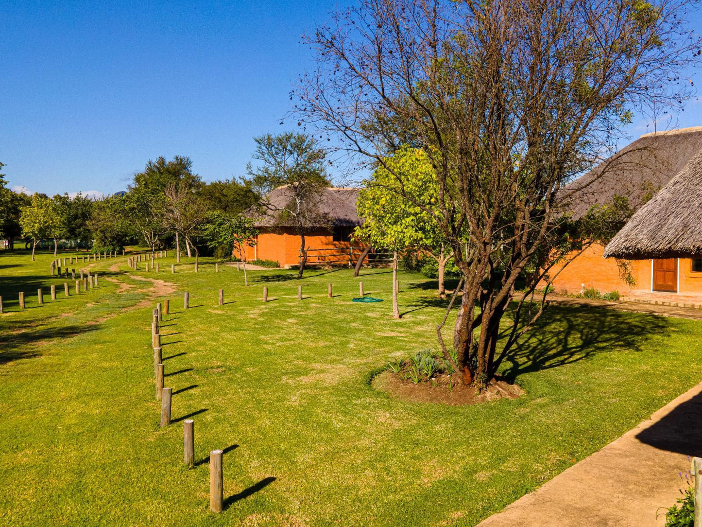 Wildthingz Bush Lodge, Colorful, Plant, Nature