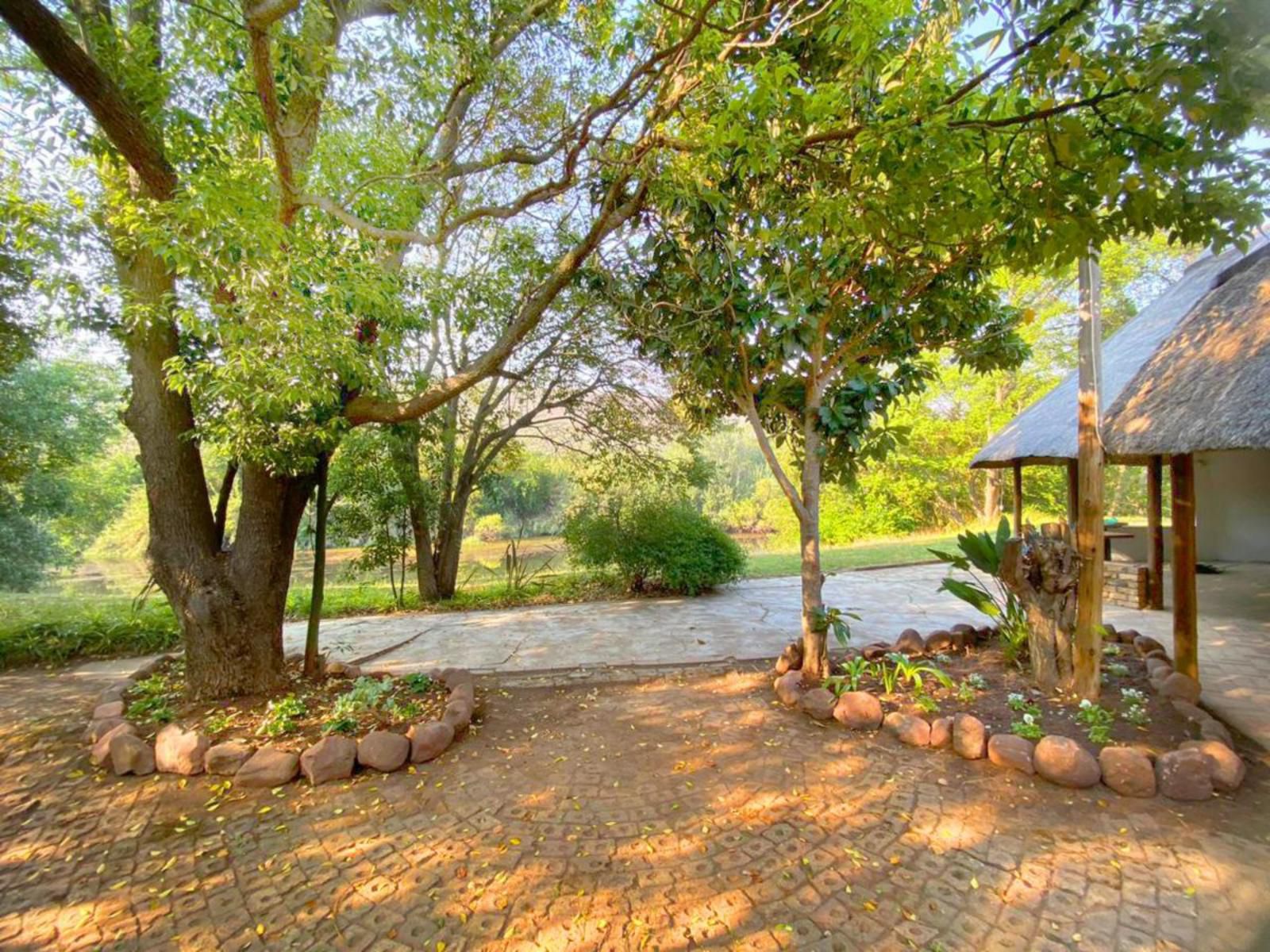 Wilge River Bush Camp, Plant, Nature, Tree, Wood, Garden