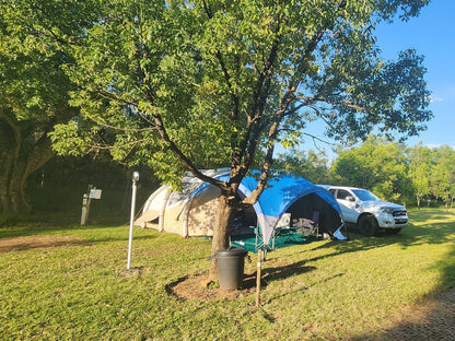 Wilge River Bush Camp, Tent, Architecture, Tree, Plant, Nature, Wood