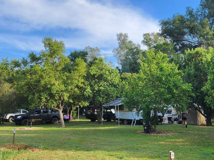 Wilge River Bush Camp, Tent, Architecture, Tree, Plant, Nature, Wood