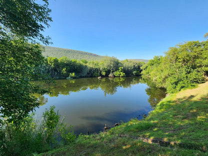 Wilge River Bush Camp, River, Nature, Waters, Tree, Plant, Wood