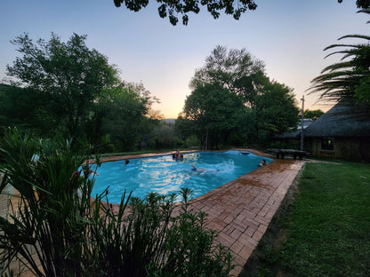 Wilge River Bush Camp, Palm Tree, Plant, Nature, Wood, Garden, Swimming Pool