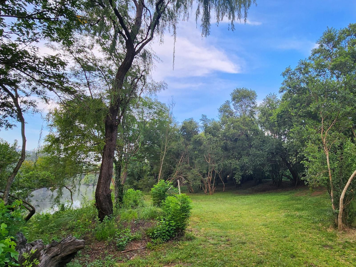 Wilge River Bush Camp, Forest, Nature, Plant, Tree, Wood