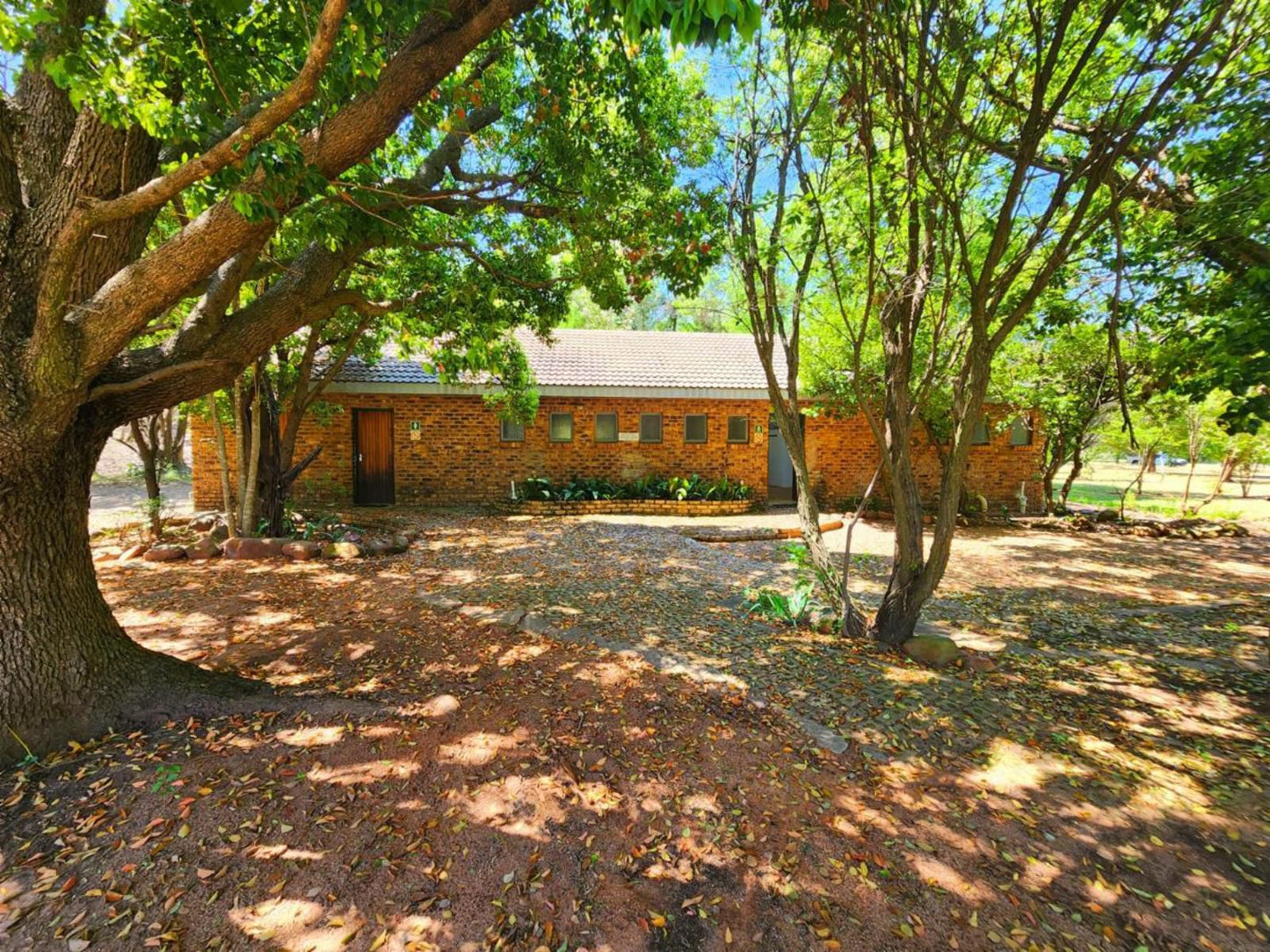 Wilge River Bush Camp, Tree, Plant, Nature, Wood