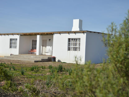 Willemsrivier Trekpad Guest Houses Nieuwoudtville Northern Cape South Africa Complementary Colors, Building, Architecture, House