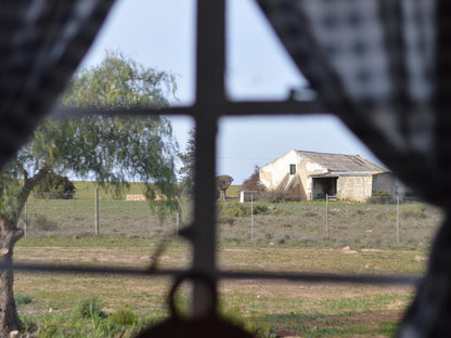 Willemsrivier Trekpad Guest Houses Nieuwoudtville Northern Cape South Africa Barn, Building, Architecture, Agriculture, Wood, Field, Nature, Window