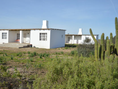 Willemsrivier Trekpad Guest Houses Nieuwoudtville Northern Cape South Africa Complementary Colors, Building, Architecture, House