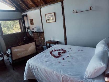 Island Suite @ Willinga Lodge