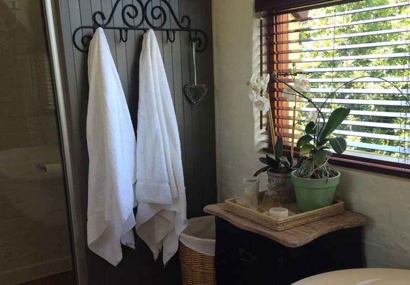 Willoughby Place Villa Noordhoek Cape Town Western Cape South Africa Plant, Nature, Bathroom