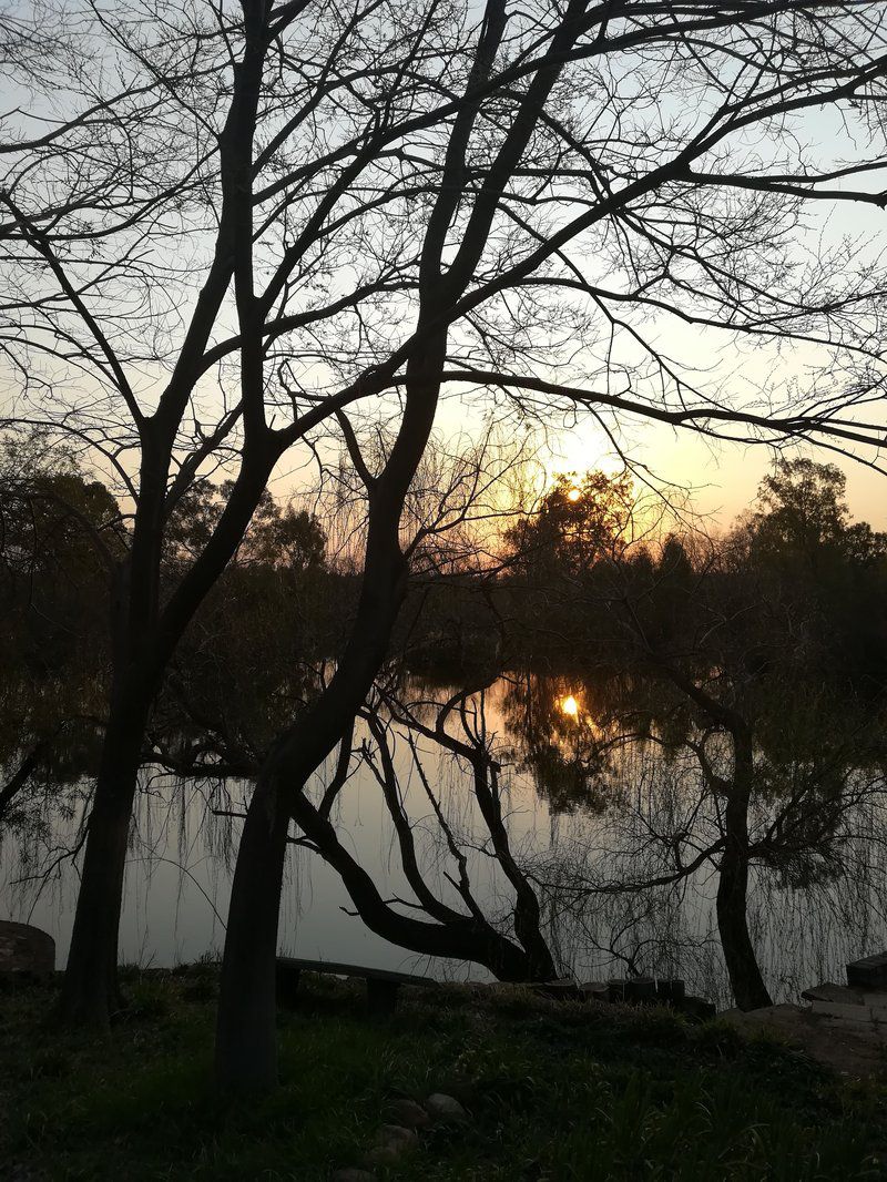 Willow Banks Lodge Vaal Eden Free State South Africa Lake, Nature, Waters, River, Tree, Plant, Wood, Sunset, Sky