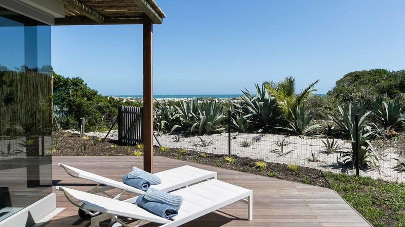 Willow Beach House Chapmans Peak Cape Town Western Cape South Africa Beach, Nature, Sand, Palm Tree, Plant, Wood, Swimming Pool