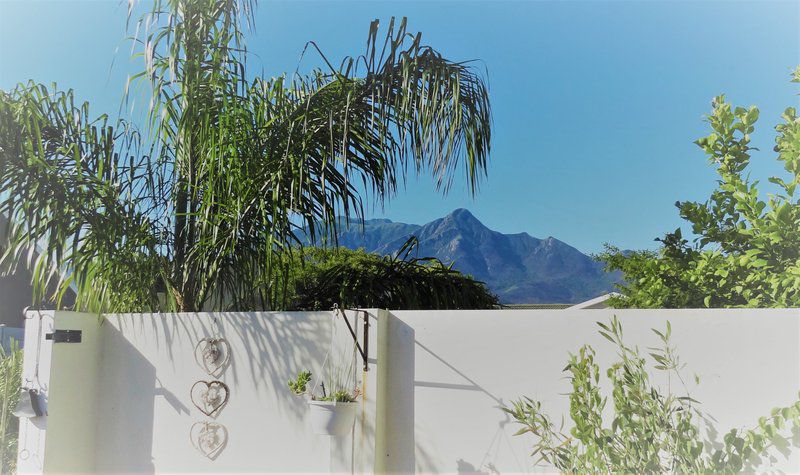 Willow Cottage King George Park George Western Cape South Africa Mountain, Nature, Palm Tree, Plant, Wood