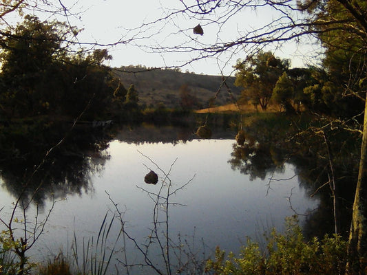 Willow Grange Country Hotel Estcourt Kwazulu Natal South Africa Lake, Nature, Waters, River, Tree, Plant, Wood