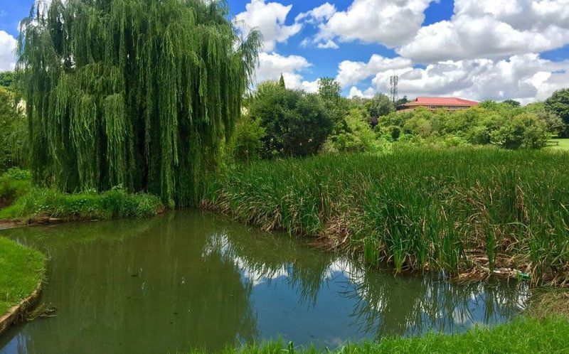 Willow Pond Lodge Faerie Glen Pretoria Tshwane Gauteng South Africa River, Nature, Waters, Garden, Plant