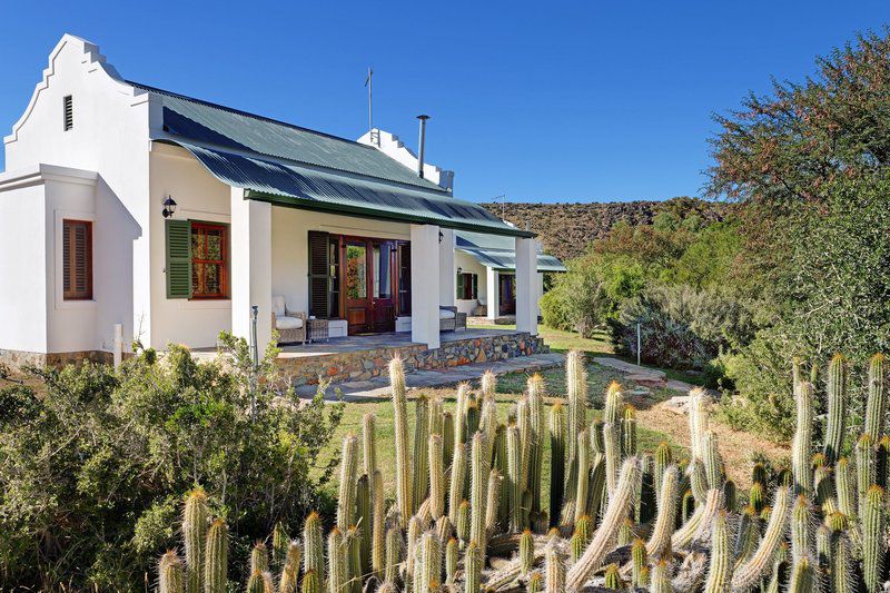 Willow Slopes Lodge And Bungalows Graaff Reinet Eastern Cape South Africa Complementary Colors, Cactus, Plant, Nature, House, Building, Architecture