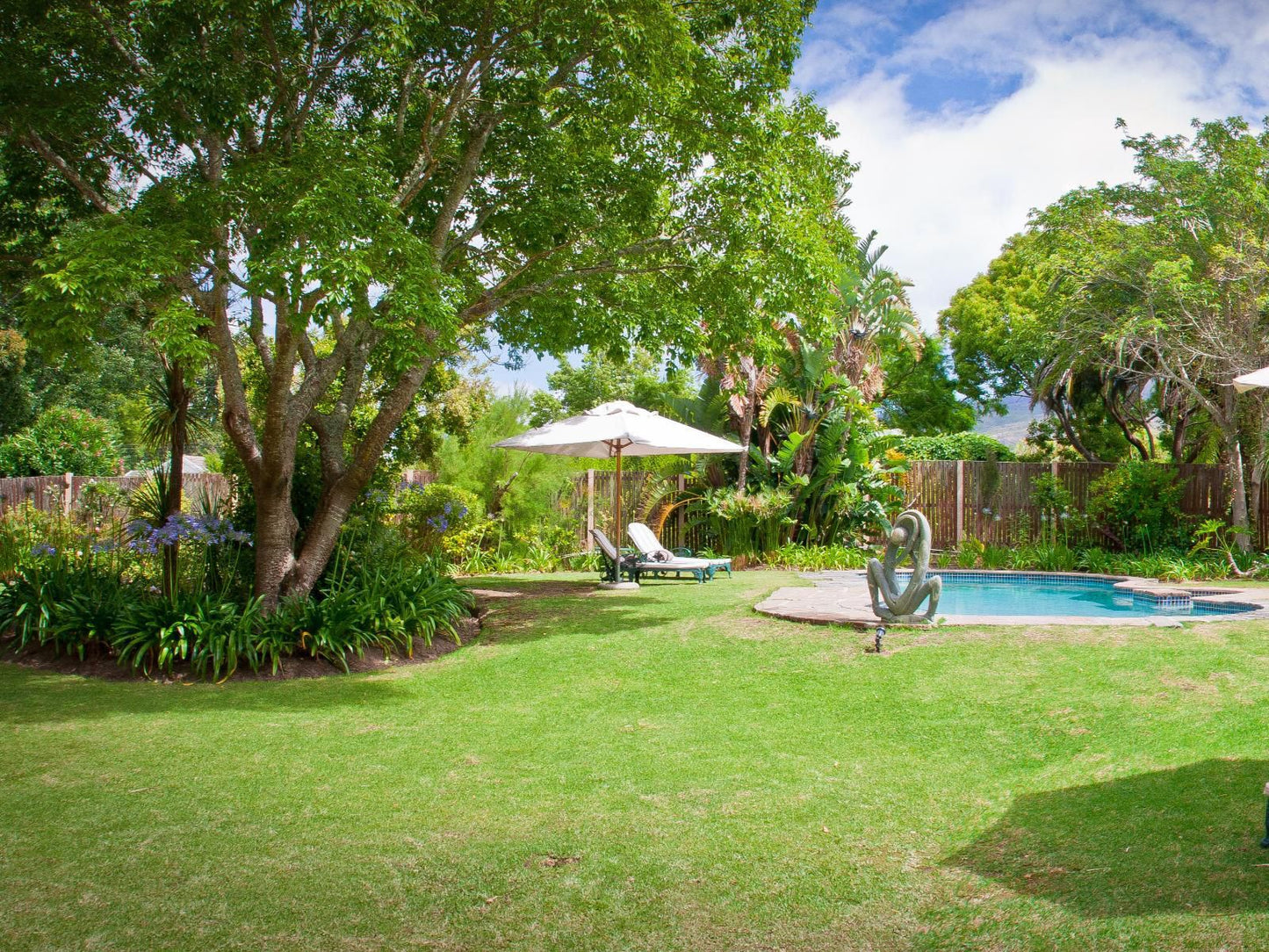 Willowbrook Country House Somerset West Western Cape South Africa Palm Tree, Plant, Nature, Wood, Garden, Swimming Pool