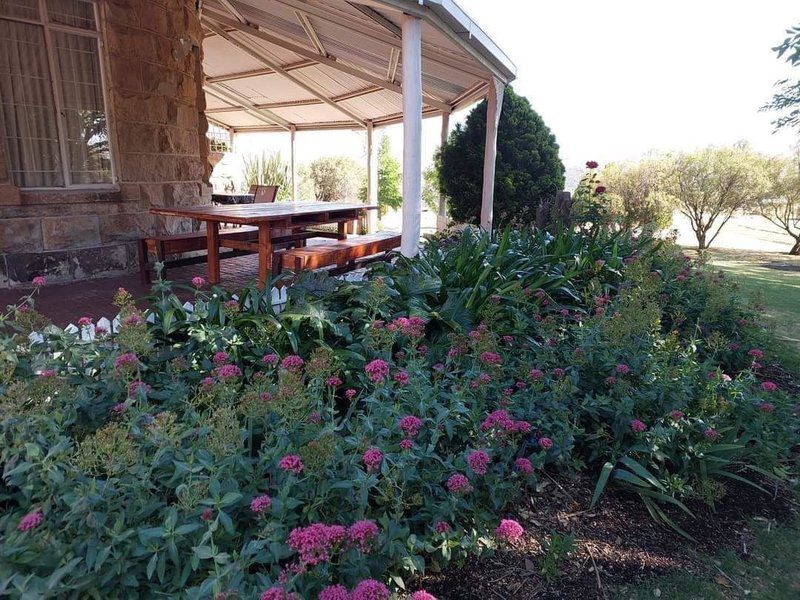 Willowdene Guest Farm Fouriesburg Free State South Africa Plant, Nature, Garden