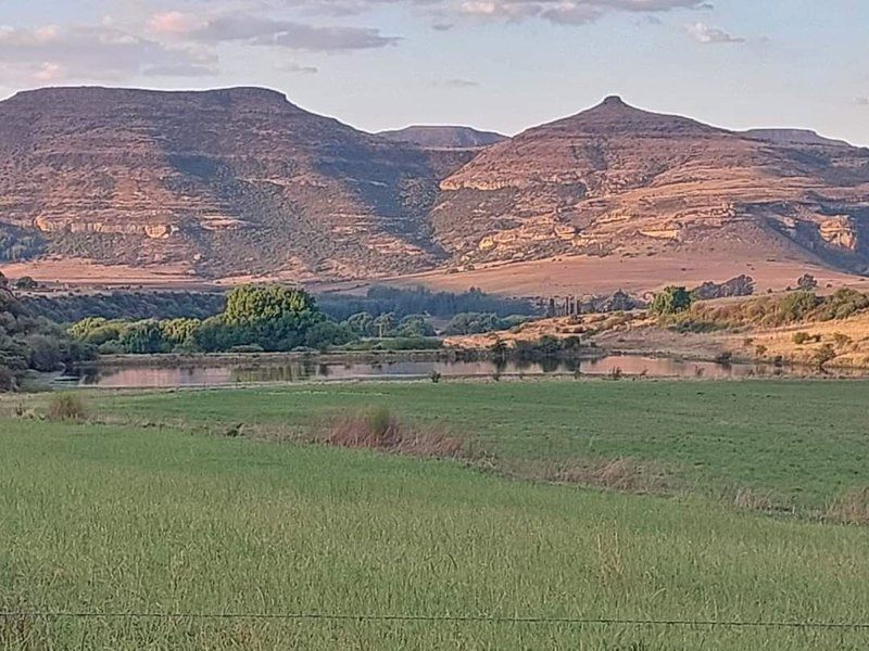 Willowdene Guest Farm Fouriesburg Free State South Africa Field, Nature, Agriculture, Lowland