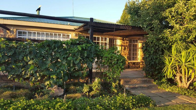 Willowdene Guest Farm Fouriesburg Free State South Africa Building, Architecture, House, Garden, Nature, Plant