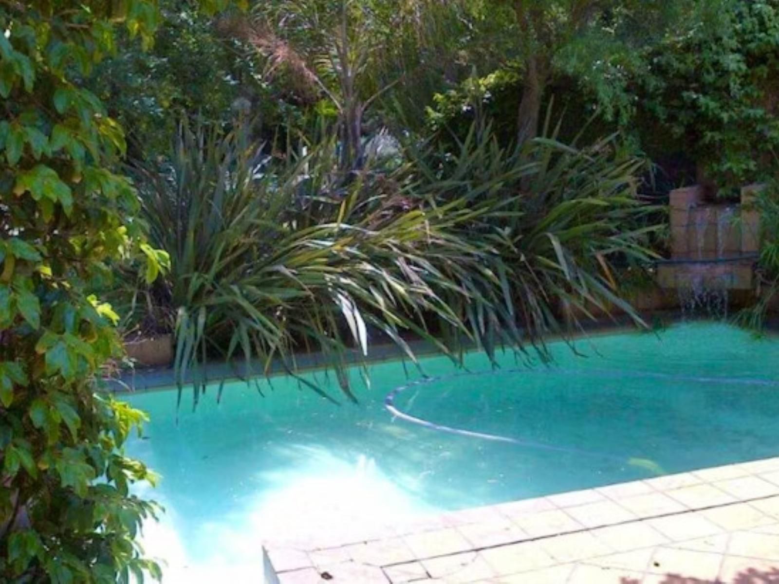 Willow Place Randjesfontein Johannesburg Gauteng South Africa Palm Tree, Plant, Nature, Wood, Garden, Swimming Pool