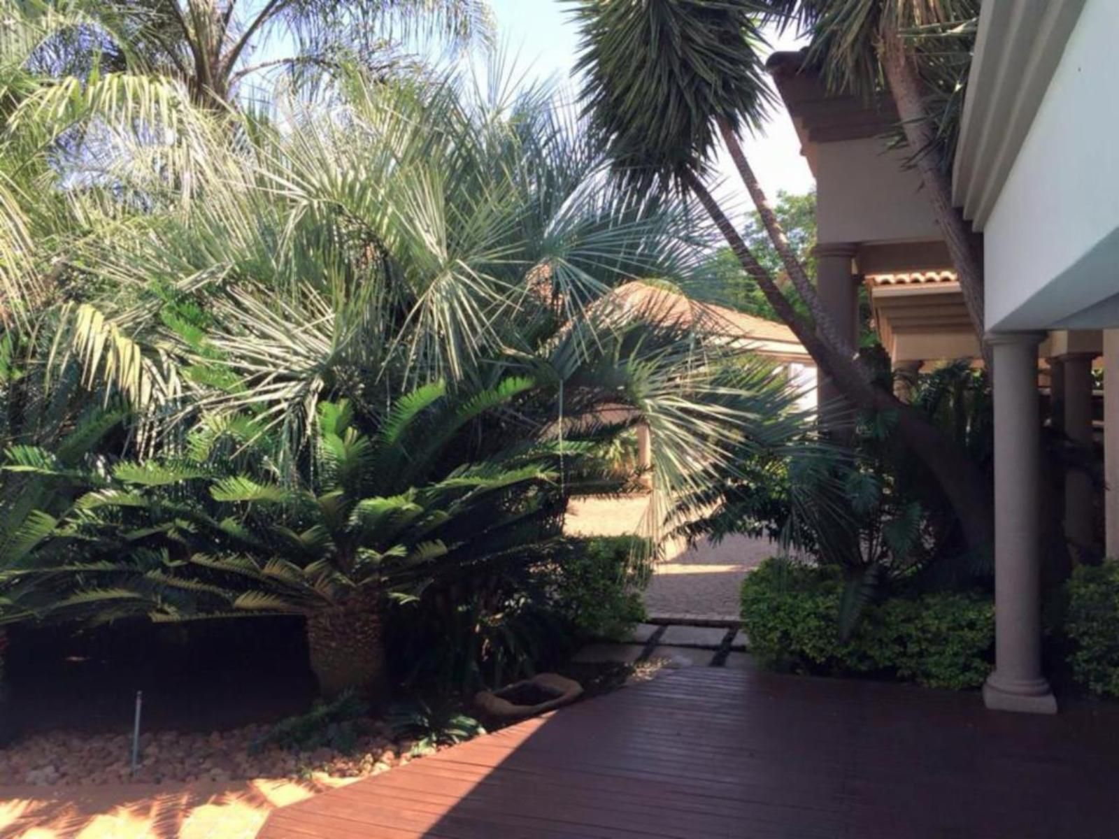 Willows Guest House Die Wilgers Pretoria Tshwane Gauteng South Africa Palm Tree, Plant, Nature, Wood, Garden