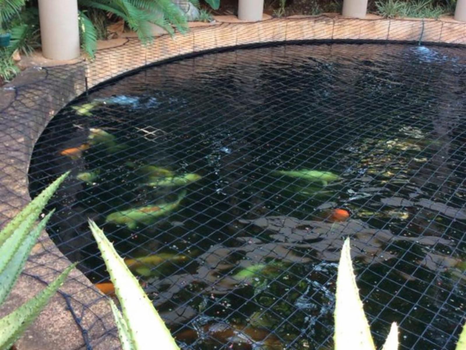 Willows Guest House Die Wilgers Pretoria Tshwane Gauteng South Africa Garden, Nature, Plant, Swimming Pool