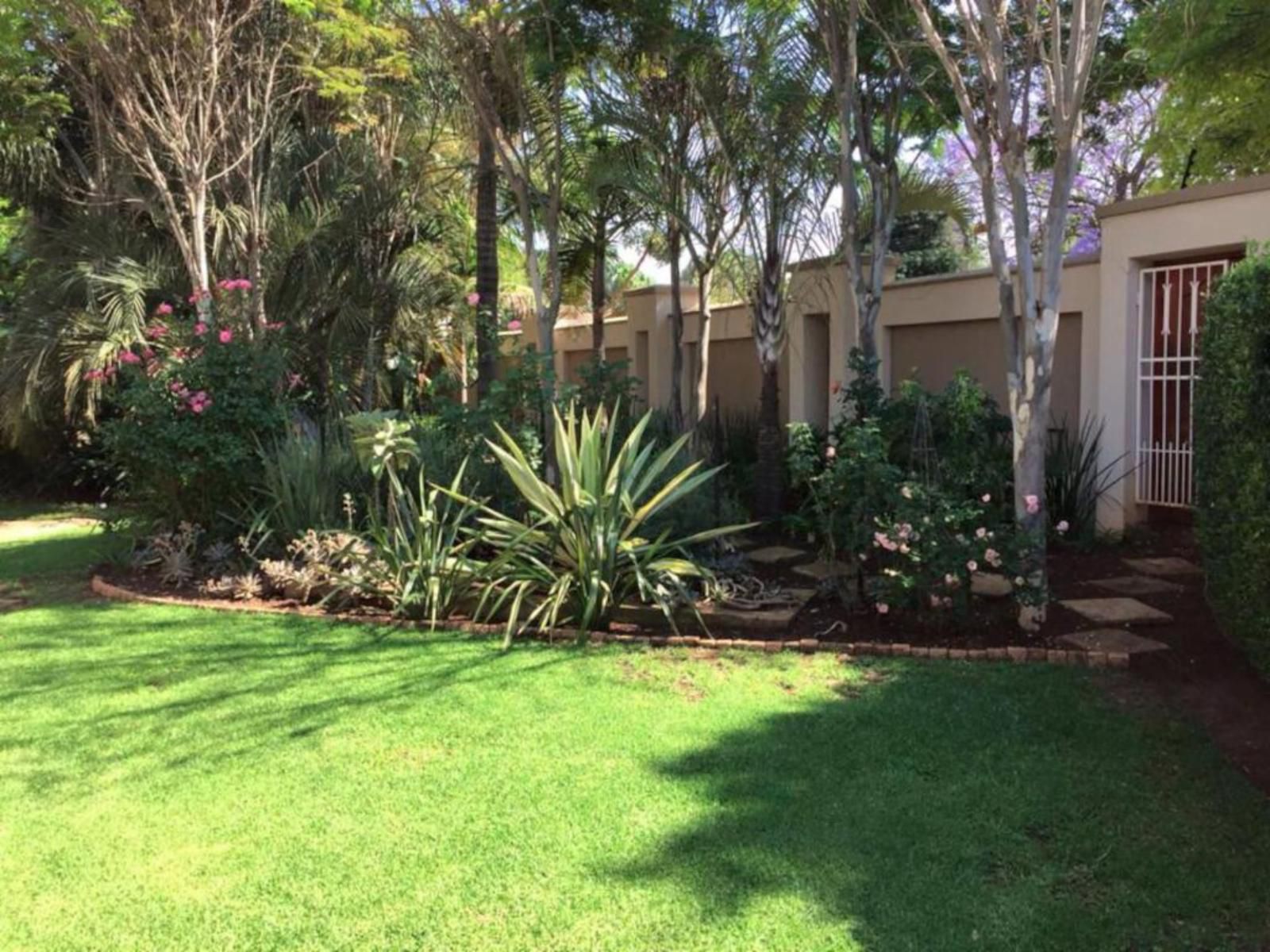 Willows Guest House Die Wilgers Pretoria Tshwane Gauteng South Africa Palm Tree, Plant, Nature, Wood, Garden