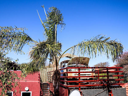 Windhoek Gardens Boutique Hotel, Palm Tree, Plant, Nature, Wood