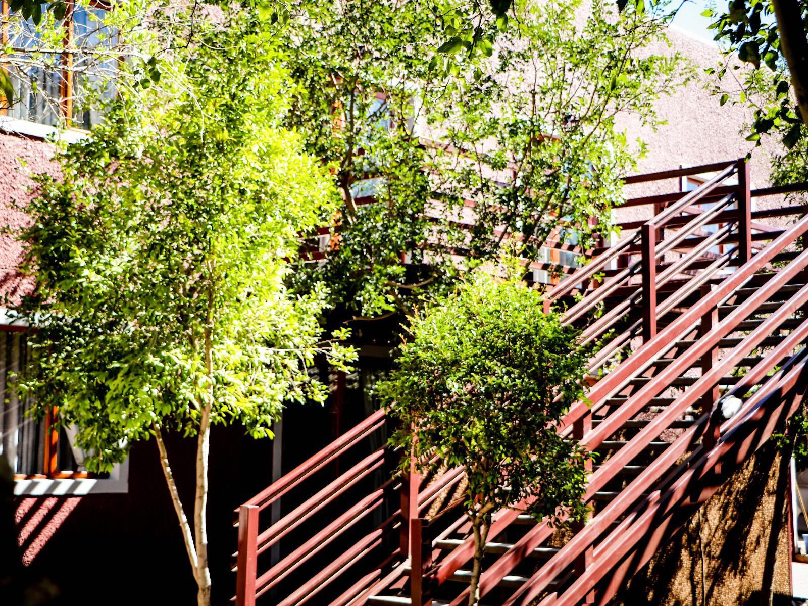 Windhoek Gardens Boutique Hotel, Plant, Nature