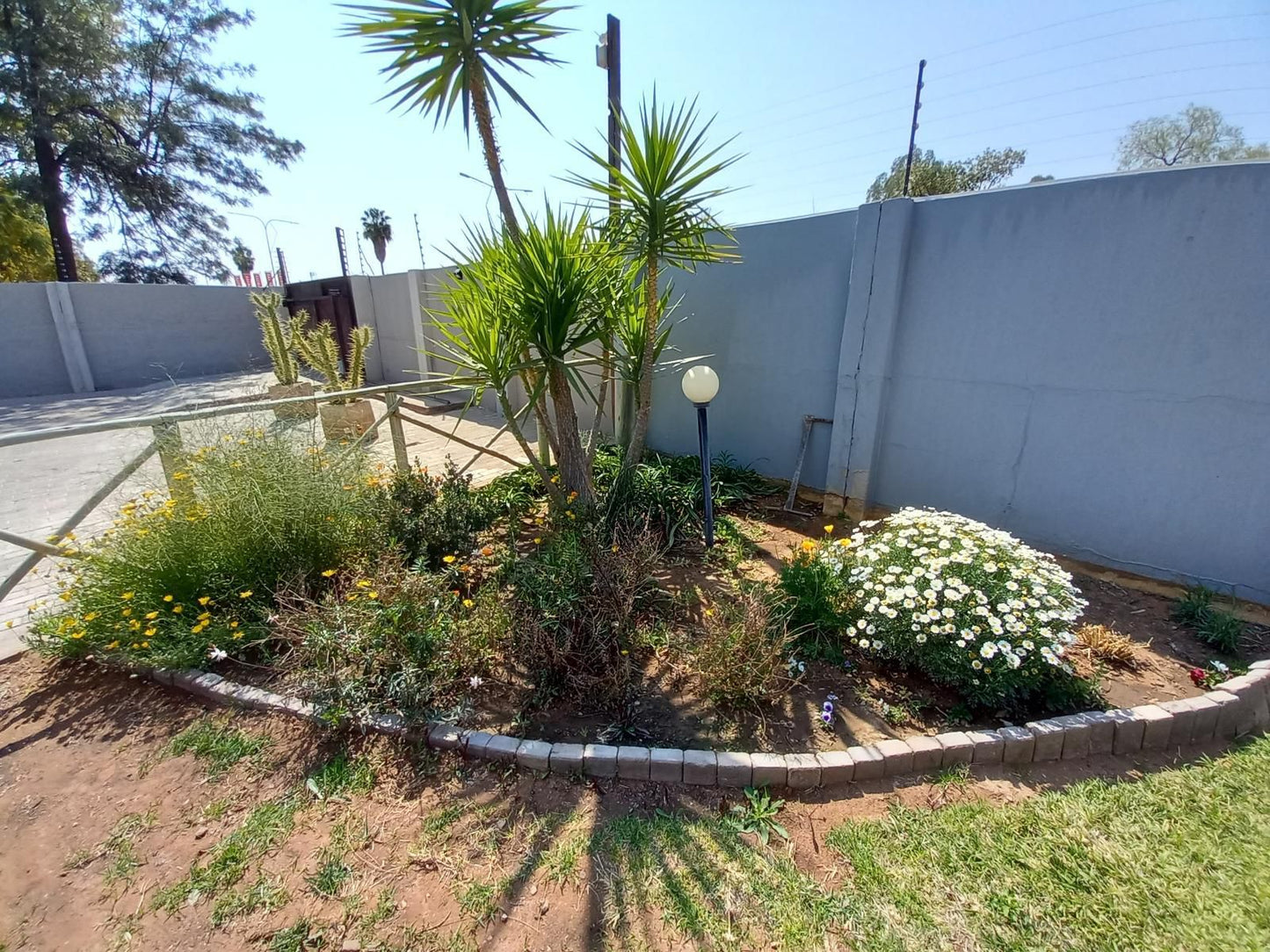 Windpomp Guest House, Palm Tree, Plant, Nature, Wood, Garden