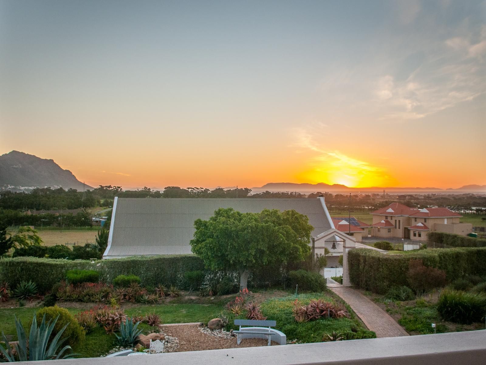 Wind Rose Guest House Gordons Bay Western Cape South Africa Palm Tree, Plant, Nature, Wood, Sky, Framing, Garden, Sunset