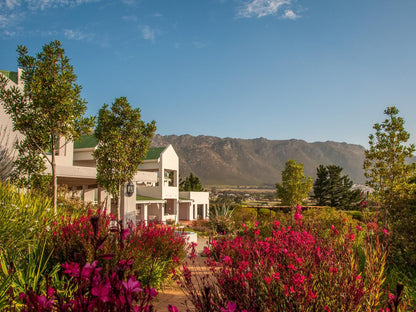 Wind Rose Guest House Gordons Bay Western Cape South Africa Complementary Colors, House, Building, Architecture, Plant, Nature