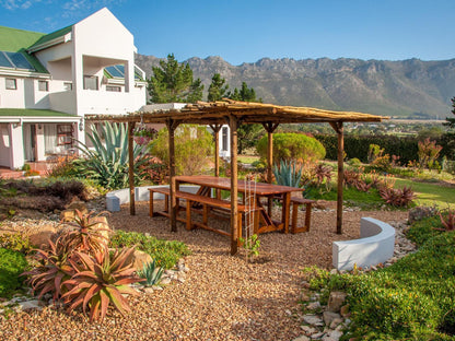 Wind Rose Guest House Gordons Bay Western Cape South Africa Garden, Nature, Plant