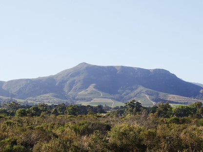 Windsor House Tokai Cape Town Western Cape South Africa Mountain, Nature, Highland