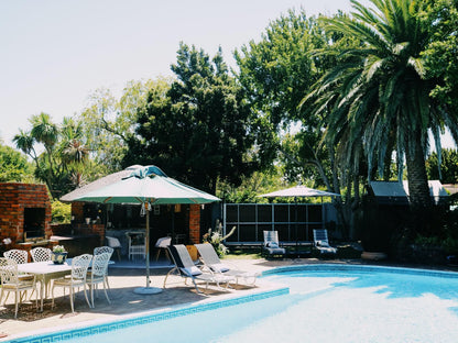 Windsor House Tokai Cape Town Western Cape South Africa Palm Tree, Plant, Nature, Wood, Swimming Pool