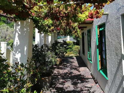 Wine Route 44 Guesthouse Helena Heights Somerset West Western Cape South Africa House, Building, Architecture, Plant, Nature, Garden