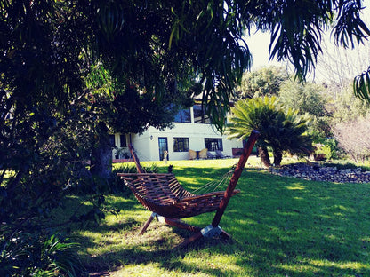 Winelands Villa Guesthouse And Cottages Helena Heights Somerset West Western Cape South Africa Palm Tree, Plant, Nature, Wood
