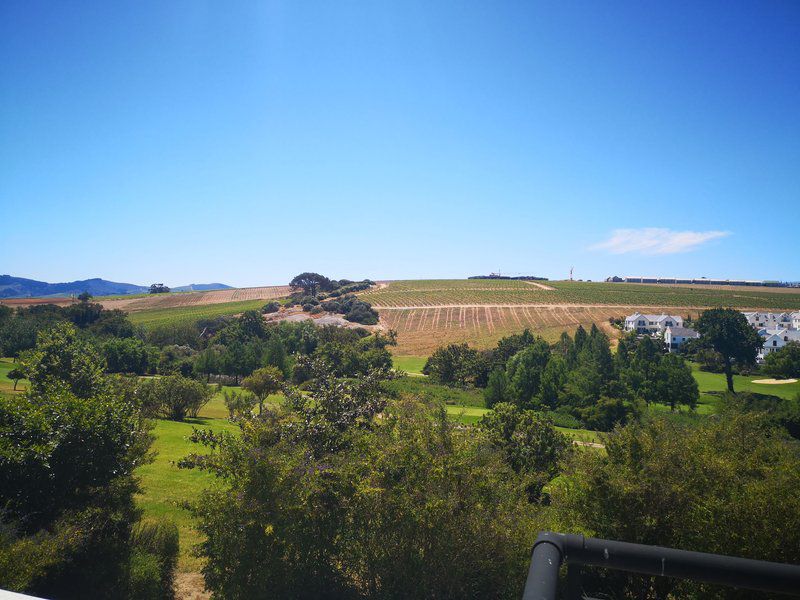 Winelands Golf Lodges Stellenbosch Western Cape South Africa Complementary Colors, Field, Nature, Agriculture, Lowland