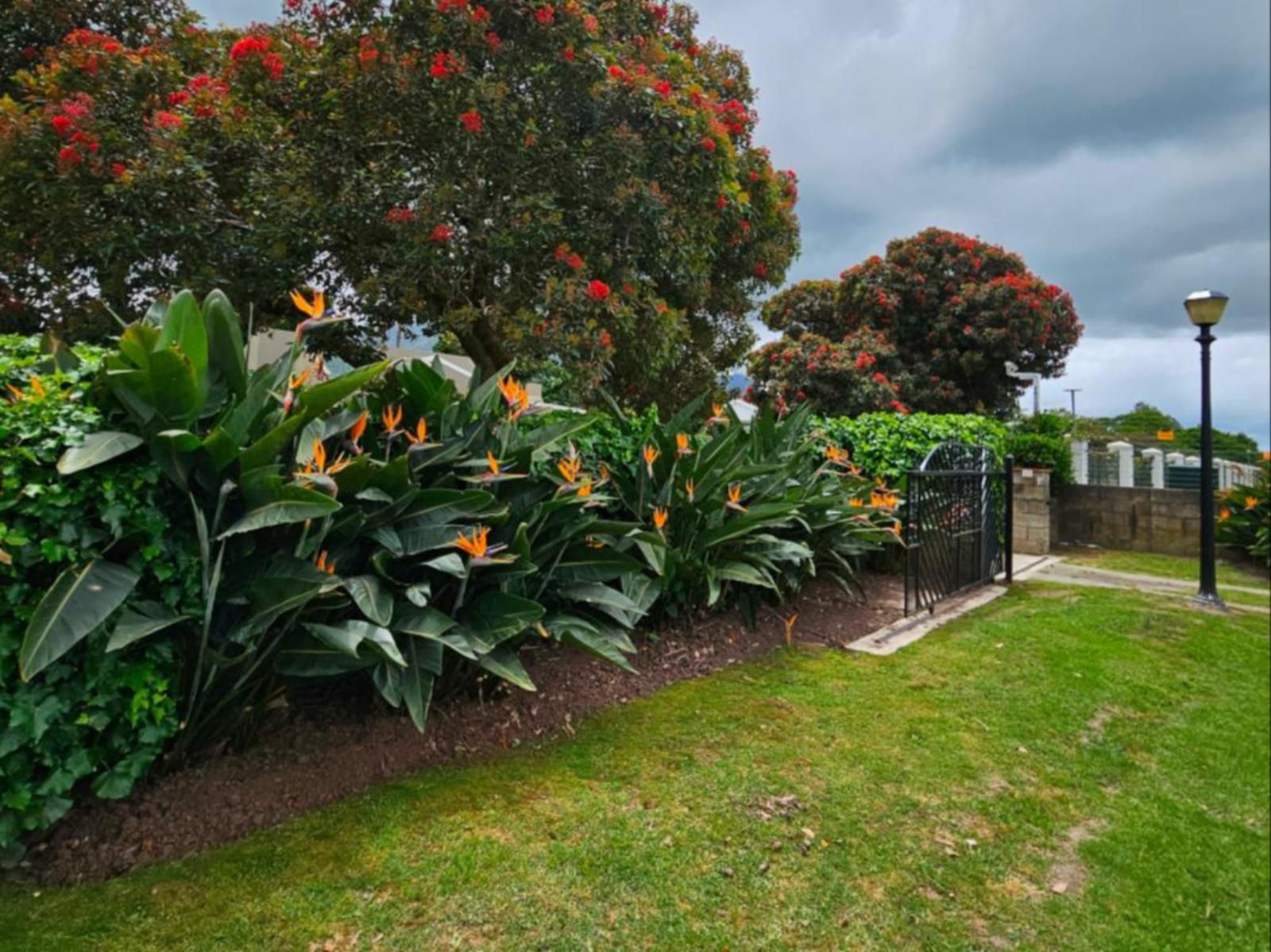 Wingrock Guesthouse, Plant, Nature, Garden