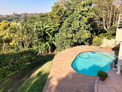 Winston House Westville Durban Kwazulu Natal South Africa Palm Tree, Plant, Nature, Wood, Garden, Swimming Pool