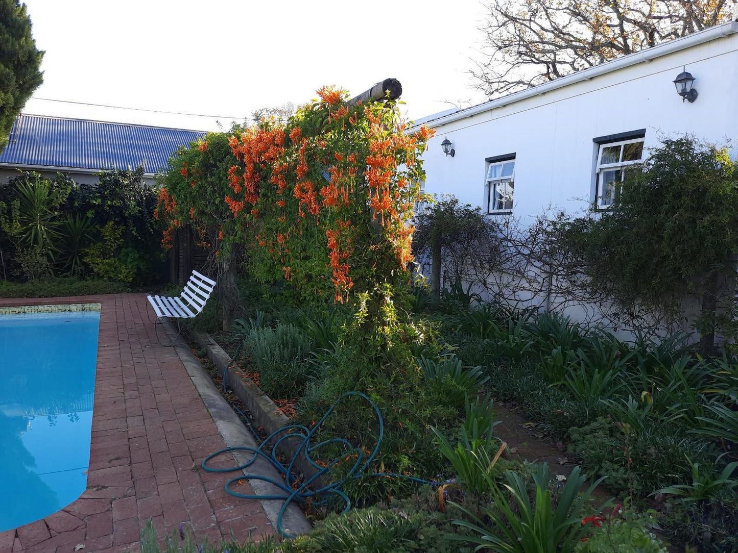 Winterson En Somerkoelte Swellendam Western Cape South Africa House, Building, Architecture, Plant, Nature, Garden