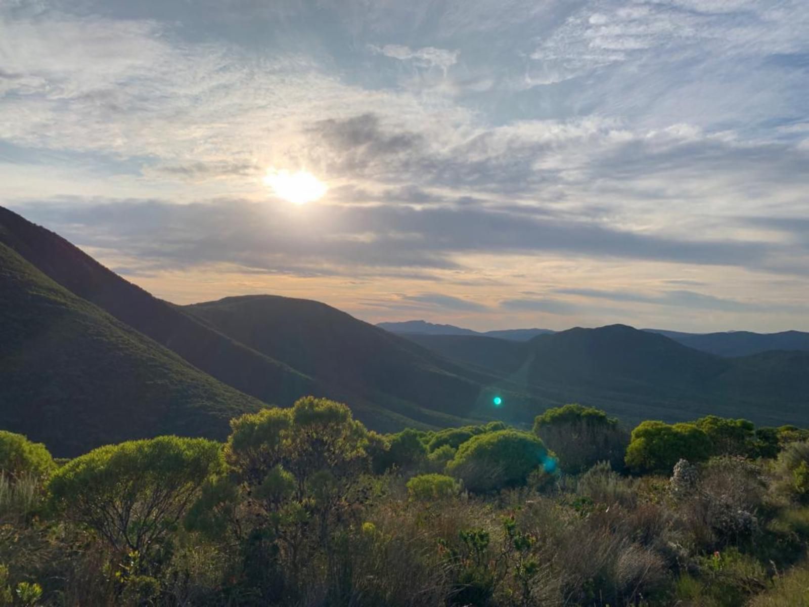 Witkrans Farm And Cottages, Nature