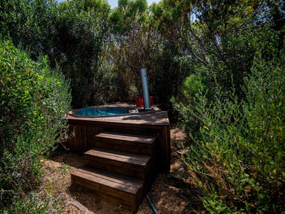 Witkrans Farm Gansbaai Western Cape South Africa Boat, Vehicle