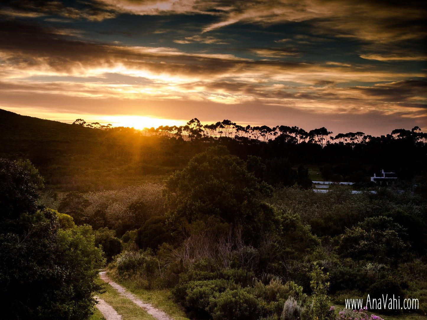 Witkrans Farm Gansbaai Western Cape South Africa Sunset, Nature, Sky