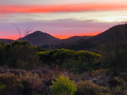 Witkrans Farm Gansbaai Western Cape South Africa Nature, Sunset, Sky