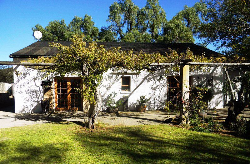 Witkrans Lodge Middelburg Eastern Cape Eastern Cape South Africa House, Building, Architecture, Plant, Nature